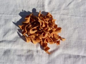 Fusilli aux courgettes et au speck