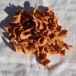 Fusilli tomate sauce aux quatre fromages