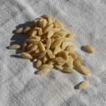 Orzo nature au canard